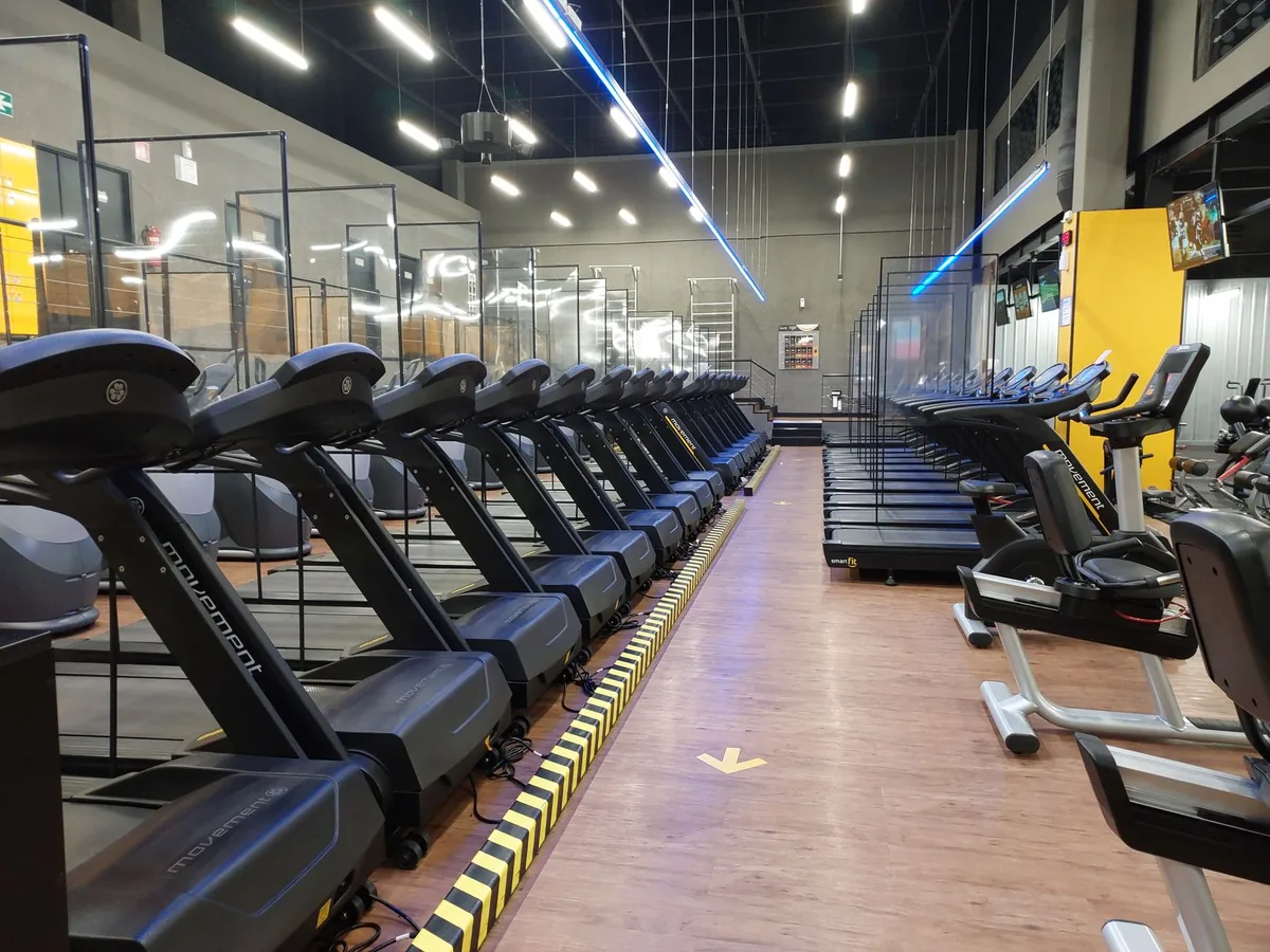 Zone 1 vs Zone 2 Cardio and How to Choose the Right Easy Effort
